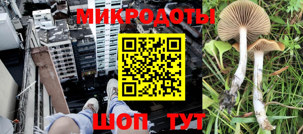 Галлюциногенные грибы Psilocybine cubensis  Вход с VPN  Улан-Удэ 