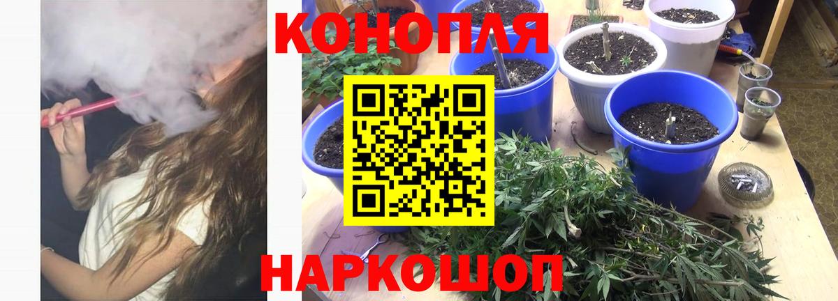 Бошки Шишки тримм  Шишки марихуана THC 21%  Улан-Удэ  Каннабис планчик  Вход с VPN  Конопля планчик 